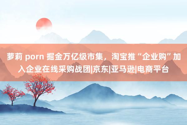 萝莉 porn 掘金万亿级市集，淘宝推“企业购”加入企业在线采购战团|京东|亚马逊|电商平台