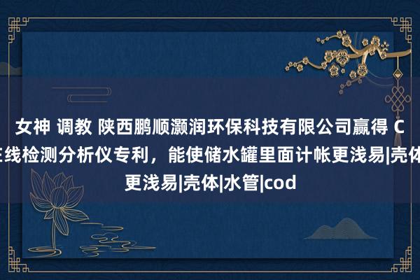 女神 调教 陕西鹏顺灏润环保科技有限公司赢得 COD 水质在线检测分析仪专利，能使储水罐里面计帐更浅易|壳体|水管|cod