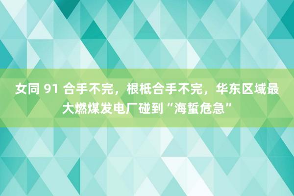 女同 91 合手不完，根柢合手不完，华东区域最大燃煤发电厂碰到“海蜇危急”